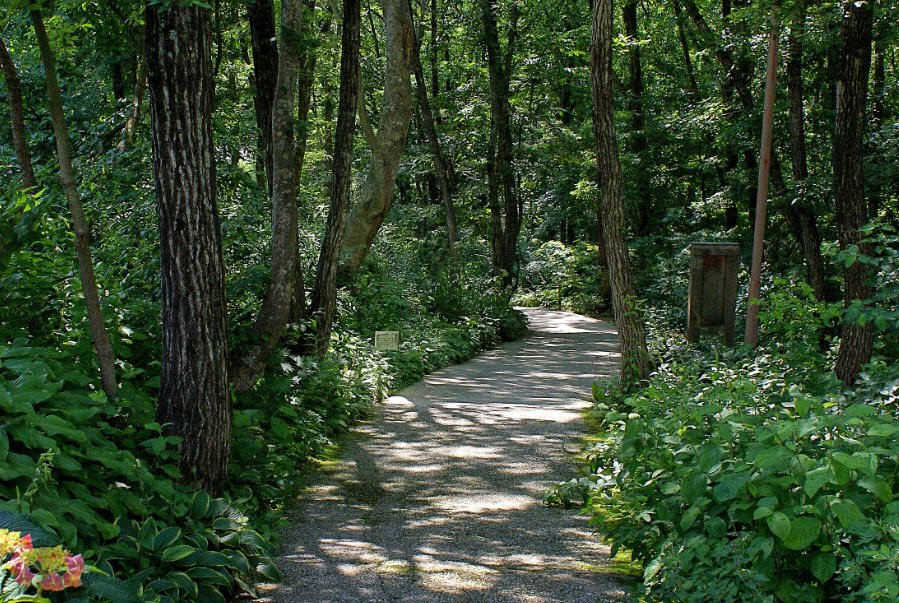 Tajima Plateau Botanical Gardens, Japan